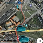 Altstadt Orchidee ורניגרוד