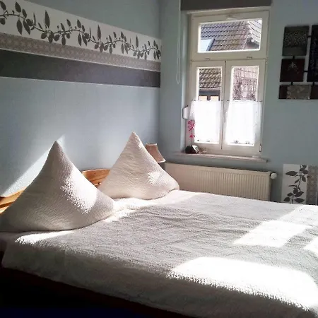 Altstadt Orchidee Guest house 3*