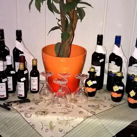 Guest house Altstadt Orchidee 3*