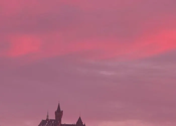 Altstadt Orchidee Konukevi Wernigerode