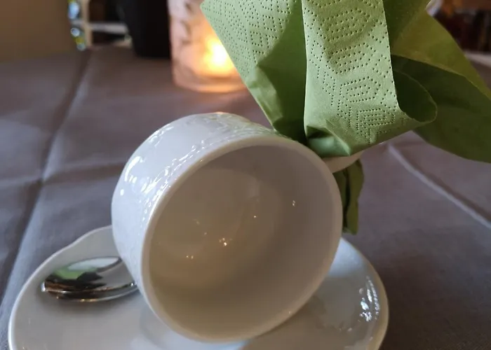 奥切得艾特萨特膳食公寓 3* 韦尼格罗德